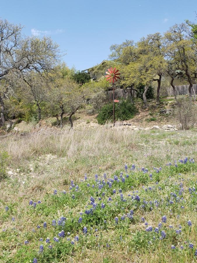 Cabin Sweet Cabin Canyon Lake Exterior foto